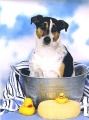 Archie's Bath